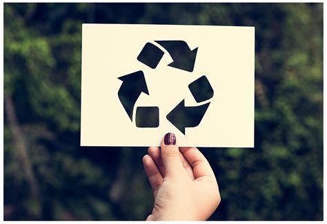 Petrochemical News - The Circular Economy, Sustainability, and ...