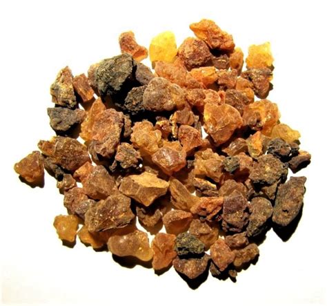 Frankincense, Myrrh, and Amber: Tree Resin Facts and Uses - Owlcation