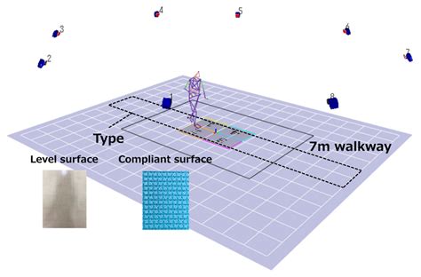 Effect of Aging on the Trunk and Lower Limb Kinematics during Gait on a ...