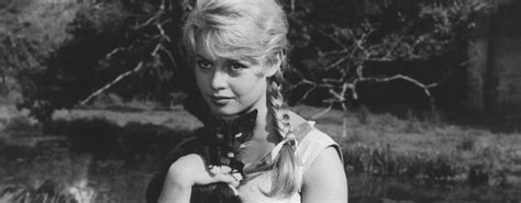 Image result for The Bride Is Much Too Beautiful 1956