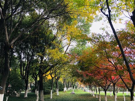 【携程攻略】南京清凉山公园景点,公园免费，很精致，值得去逛逛，鸟语花香的，特意选择了一个工作日骑…