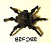 Buy Design Toscano Octopod Mechanical Steampunk Sculpture, Gold Online ...