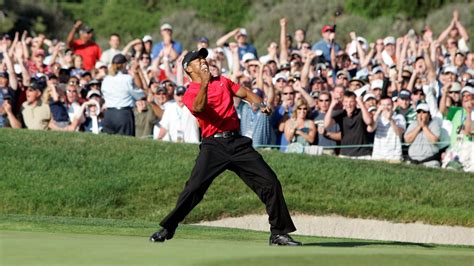 2008 US Open 的图像结果