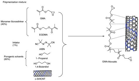 Lipase as a Chiral Selector Immobilised on Carboxylated Single-Walled ...