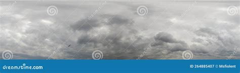 Image result for Equirectangular Overcast