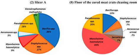 Microbial Ecology Evaluation of an Iberian Pig Processing Plant through ...