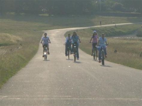 THE BEST Hellerup Points of Interest & Landmarks (with Photos)