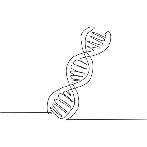 DNA Vector 的图像结果