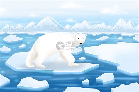 北极熊元素素材下载-正版素材401301713-摄图网