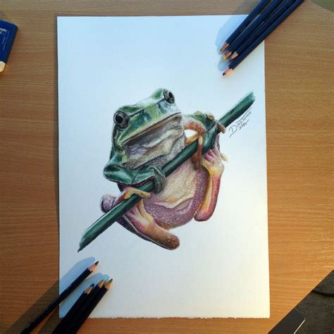 Realistic Frog Color Pencil Drawing