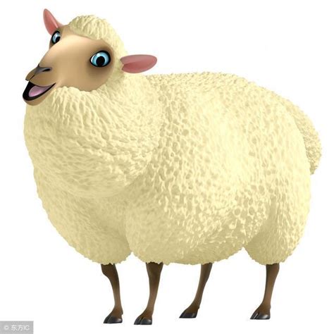生肖羊的性格與特點 - 每日頭條