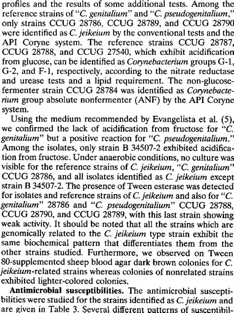 Image result for API Coryne