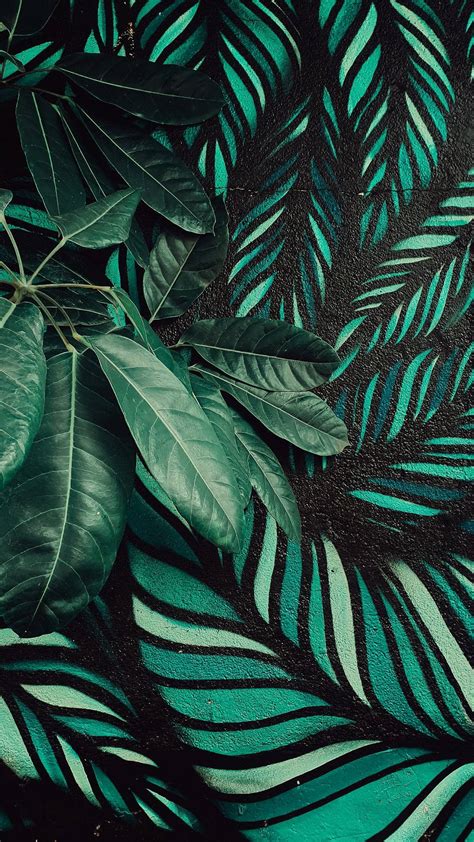 Download Green Leaves On Plants Wall Mural Wallpaper | Wallpapers.com