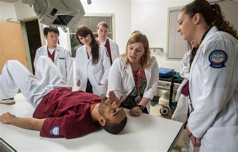 The Licensed Practical Nurse Program Launches its Students Towards ...