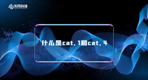 什么是cat.1和cat.4_cat1频段-CSDN博客