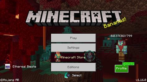 Image result for Minecraft Not Loading 1.16