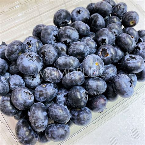 Driscoll's Sweetest Batch Blueberry (312g punnet) — MomoBud