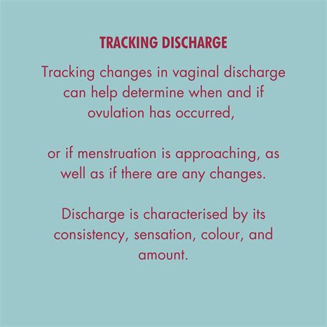 Vaginal Discharge During Ovulation