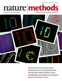 Springer Nature Methods Book 的图像结果