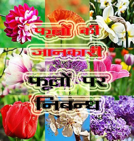 फूलों के बारे में जानकारी (Information About Flowers in Hindi)