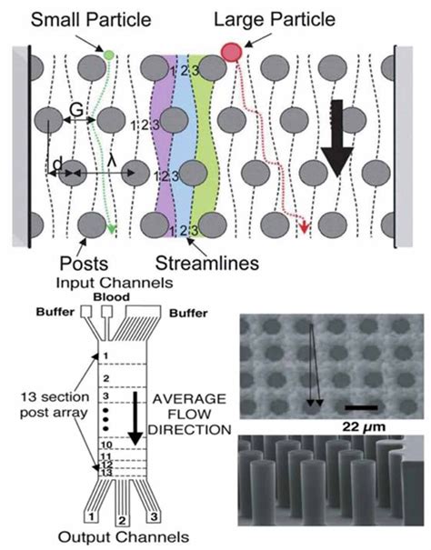 Image result for Cell Sorting Microfluidic Chip
