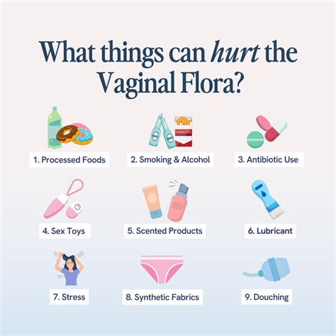 What Is The Vaginal Flora and What is its Link to Vaginal Health? – Happy V
