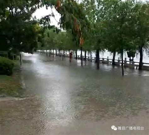 持续降雨致使睢县部分区域大范围积水 路面被淹_大豫网_腾讯网
