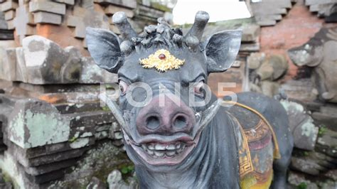 Hindu And Pork - Spesanut