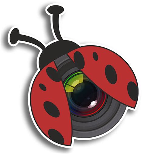 Image result for Shutterbug Live