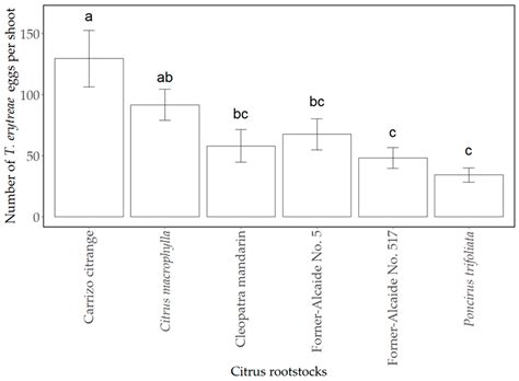 Feeding and Oviposition Behaviour of Trioza erytreae (Hemiptera ...