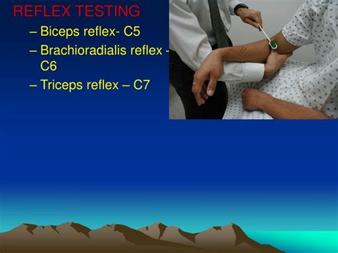 PPT - Comprehensive Elbow Physical Examination Guide PowerPoint ...