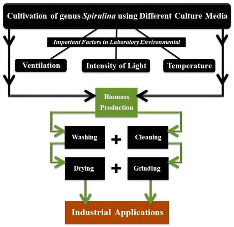 Tendencies Affecting the Growth and Cultivation of Genus Spirulina: An Investigative Review on ...