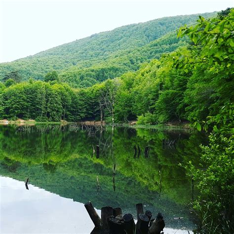 THE 30 BEST Places to Visit in Yalova (2026) - Must-See Attractions