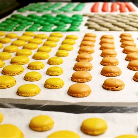 Basic Baking Lessons 的图像结果