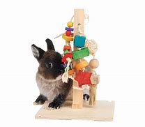 Image result for Rabbit Toys for Kids