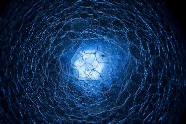 Internet Users Body Prediction 的图像结果