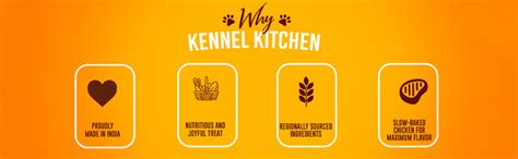 Buy Kennel Kitchen Soft Baked Chicken Stick Treats for Dogs, 100g (Pack ...