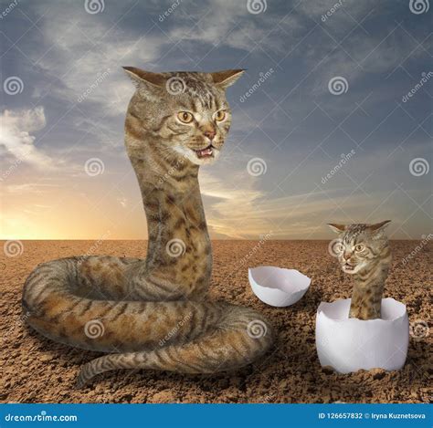 Cat snake and its cub stock photo. Image of python, funny - 126657832