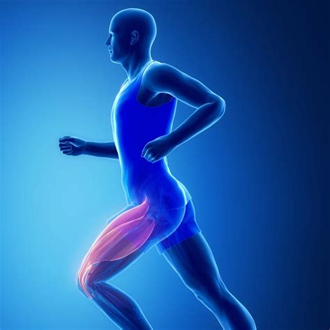 Intermittent Fasting and Muscle Gain: How to Use it to Build Muscle