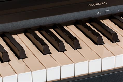 Image result for Musical Instruments Piano