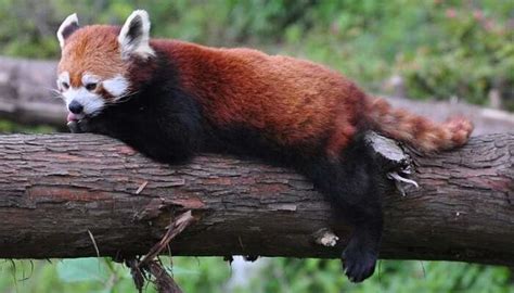 Gangtok In November 2025: Top Places To Visit, Things To Do & Travel Guide