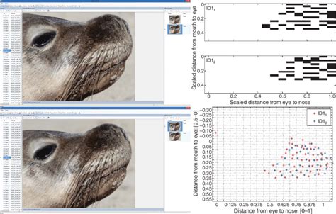 Image result for Individual Match On Two Variables