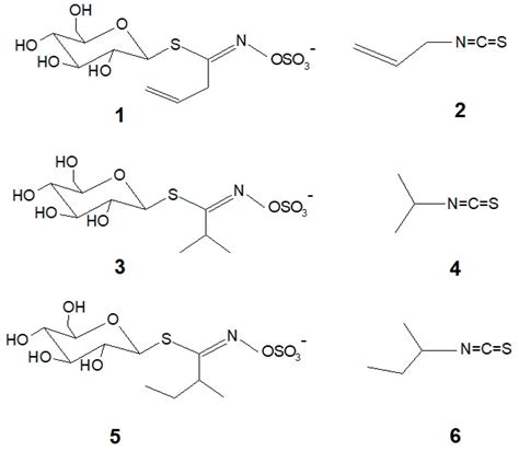 Glucosinolates in Sisymbrium officinale (L.) Scop.: Comparative ...