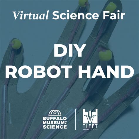 Image result for Robot Hand DIY