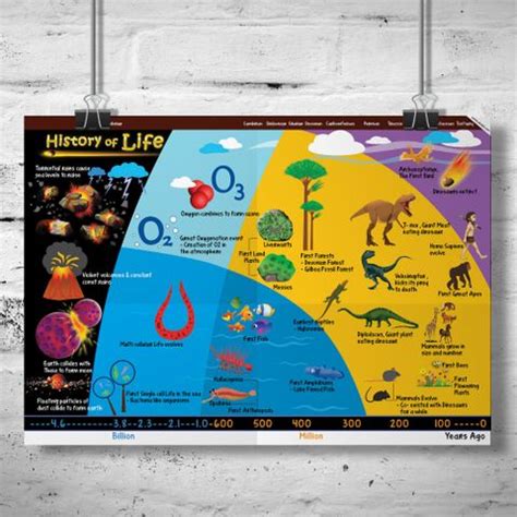 Science Poster for Kids - History of Life - Size A3 - 11.7 X 16.5 ...