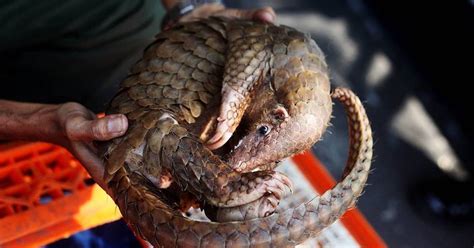 No-Trade No Killing 的图像结果