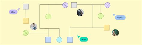 Image result for Genogram Interview