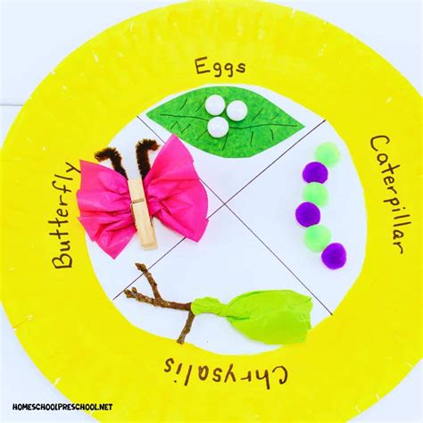 Butterfly Life Cycle