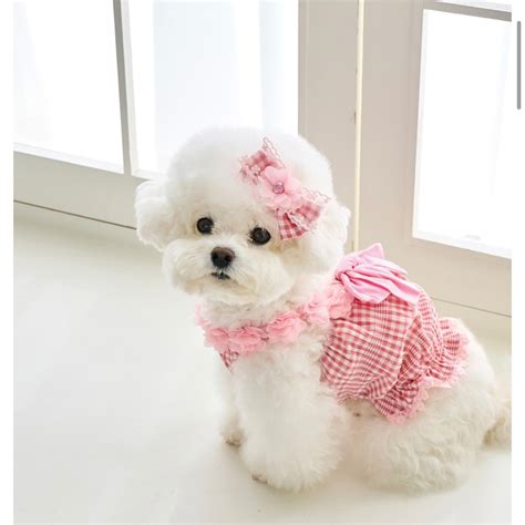 即納販売 Flower check string tank top 韓国犬服 ブランドMarie＆dingo | Hirokke Atelier