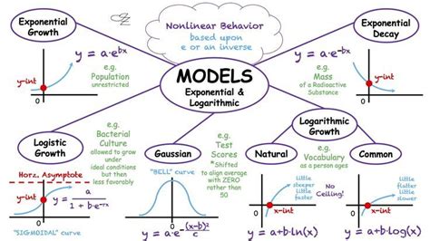 Introduction to Exponential Functions 的图像结果